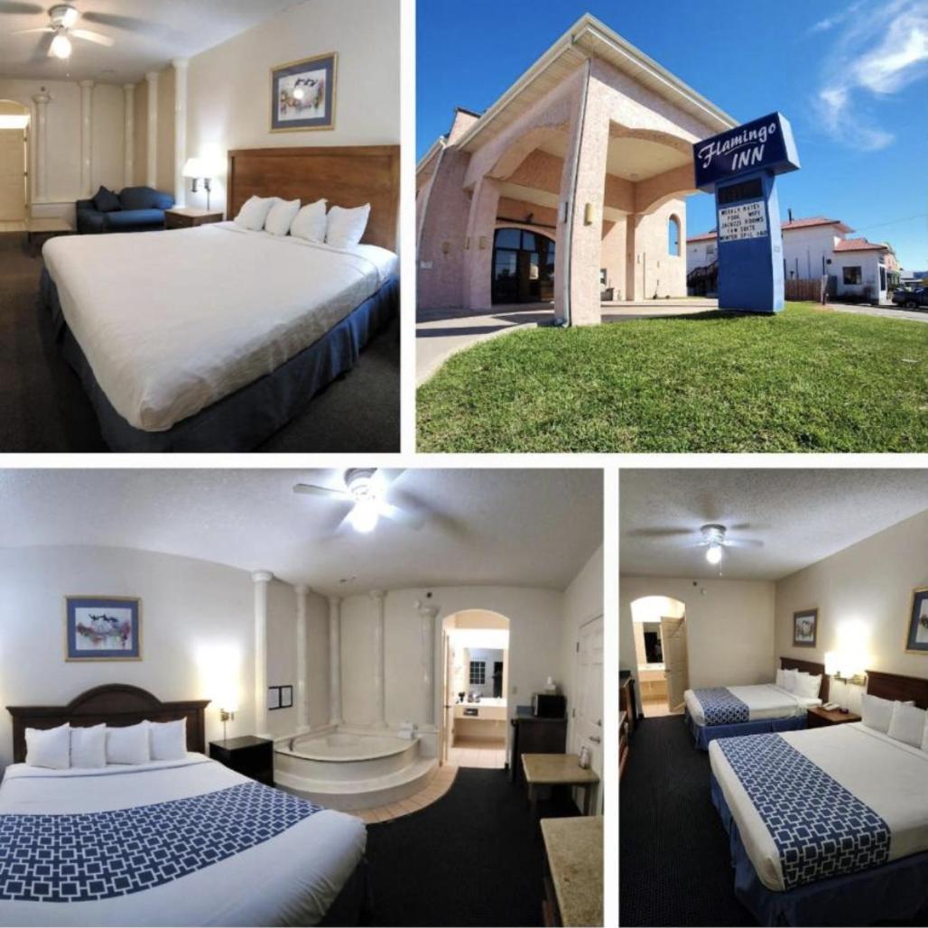Hotel The Flamingo - South Padre Island Esterno foto
